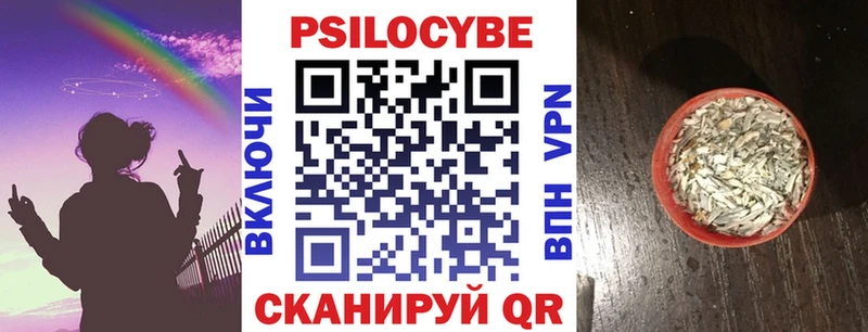 Галлюциногенные грибы Magic Shrooms  купить наркотик  mega зеркало  Рудня 